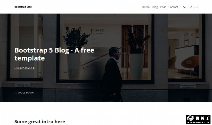 简约个性BLOG网站模板