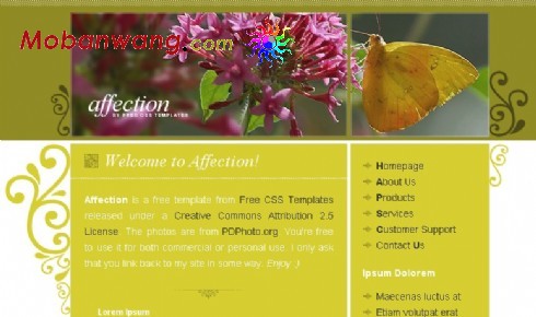 蝶恋花主题网页模板