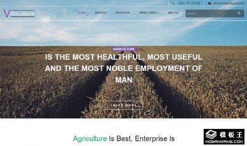 葡萄栽培酿制响应式网页模板