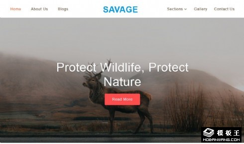 野生动物保护响应式网页模板