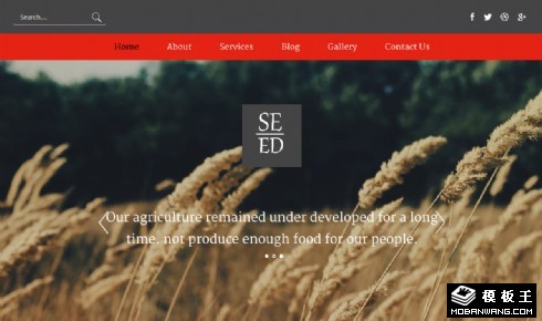 农业种子科技响应式网站模板