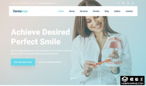 牙科医疗项目预约响应式网页模板