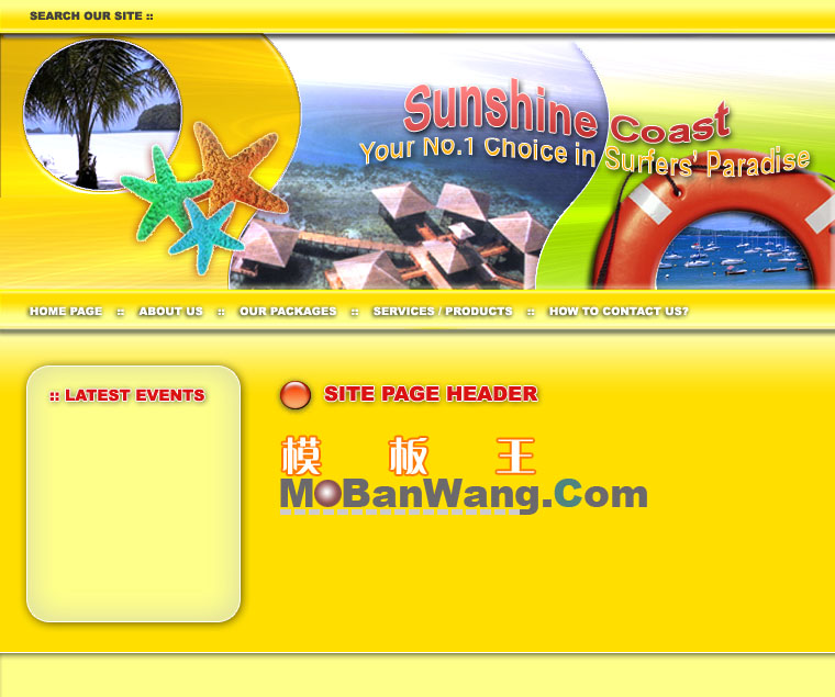 漂亮的欧美风格模板