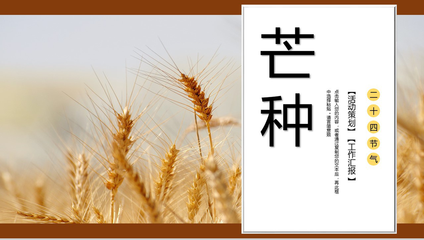 白色简约风芒种习俗介绍PPT模板