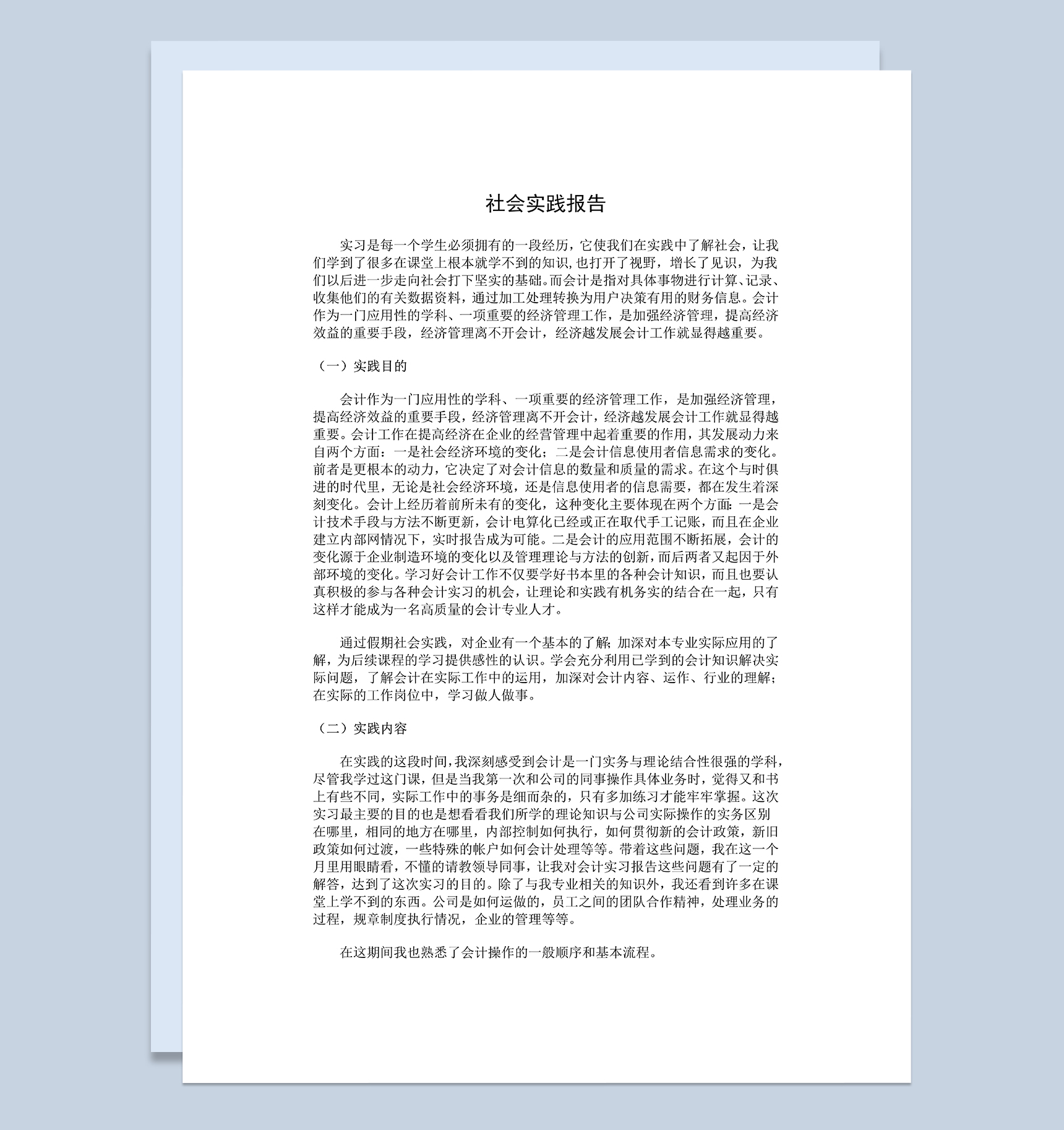 系统全面会计专业暑期社会实践报告范本Word模板