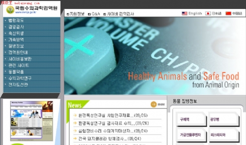 韩国生活保健类网页模板