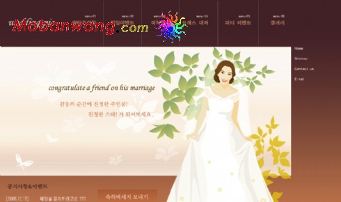 婚纱设计咖啡色网站模板