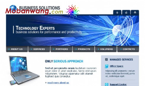 电子商务解决方案网站模板