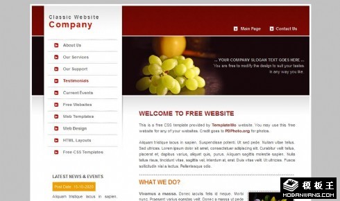 产品信息主页动态网页模板