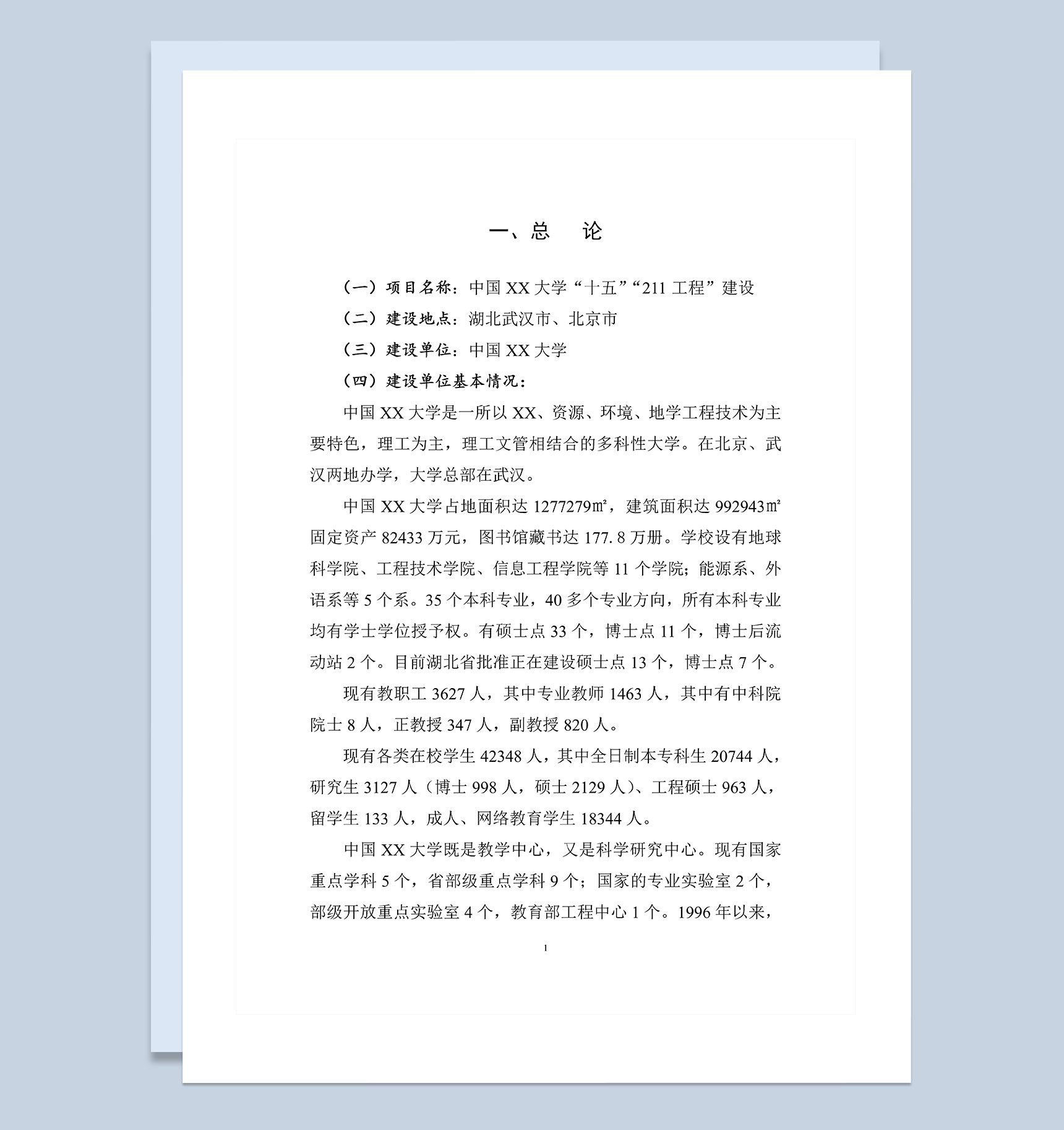 大学“十五”“211工程”建设项目可行性研究报告Word模板