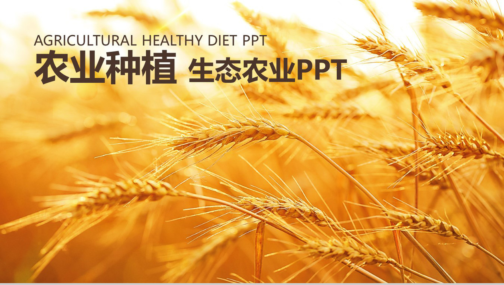 农业种植生态农业发展汇报PPT模板