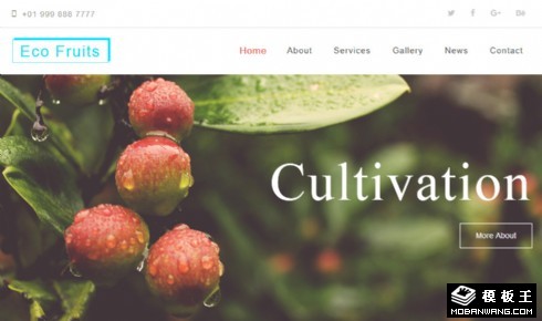 有机生态果园响应式网页模板