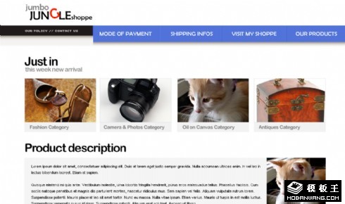 产品推荐销售网页模板