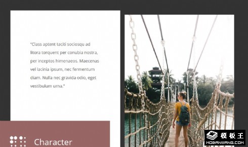 左右图文展示响应式网页模板