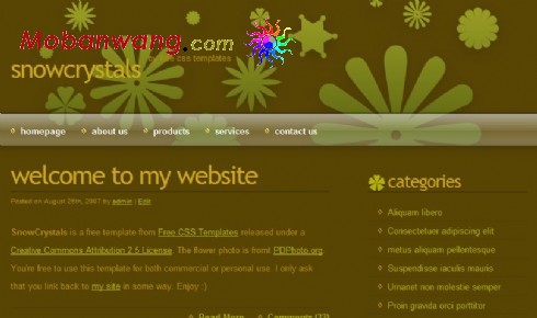 棕色雪晶BLOG网页模板