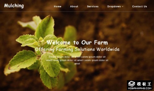 农业发展解决方案响应式网页模板