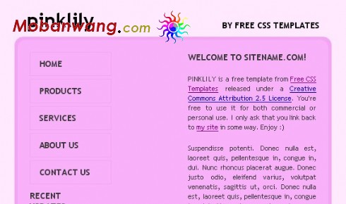 石竹与百合信息网页模板