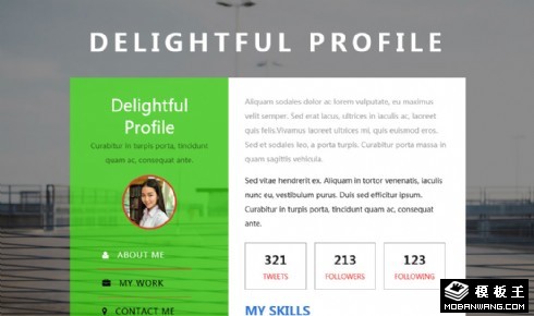 个人技能展示中心响应式网页模板