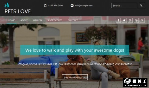 宠物关爱护理响应式网页模板
