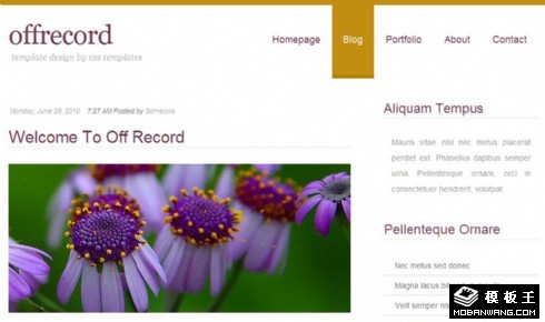 紫色菊花BLOG网页模板