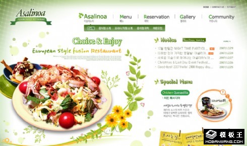 绿色沙拉美食网页模板