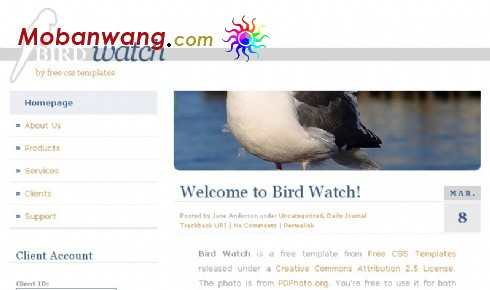 鸟类观察BLOG网页模板