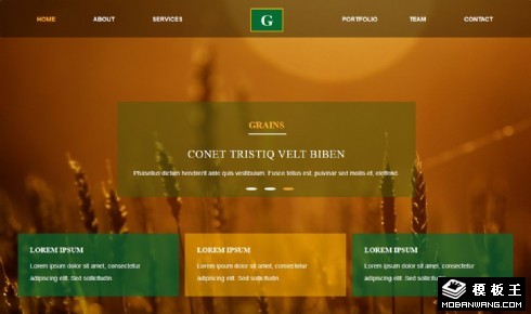 谷物种植采收响应式网页模板