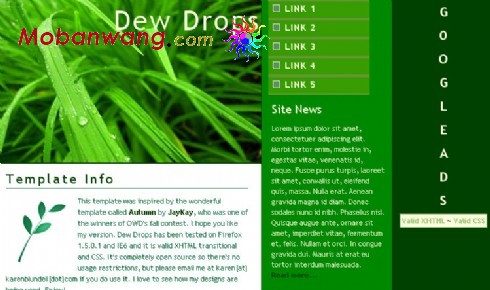 绿色植物信息网页模板