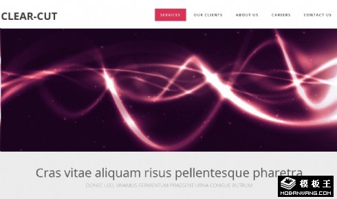 服务信息案例网页模板