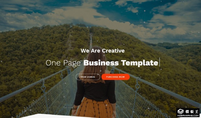 6个单页面业务网页模板