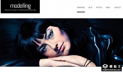 简洁大气造型设计网页模板