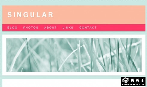 浅绿单列信息网页模板