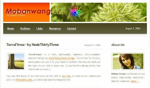 天空领土个人BLOG网页模板