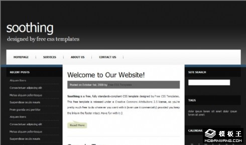 灰黑技术研究日志网页模板