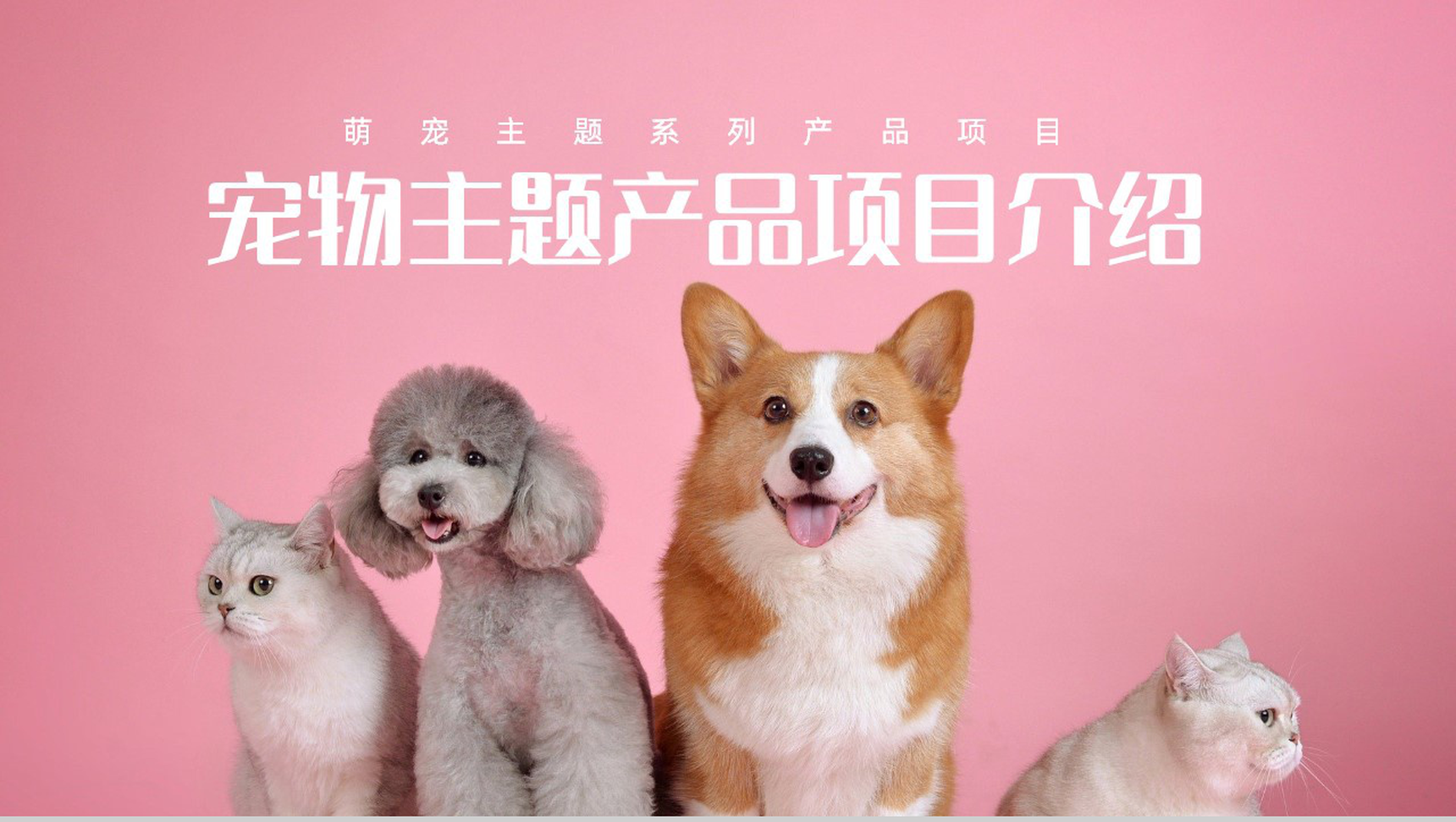 创意萌宠主题系列优势产品项目介绍PPT模板