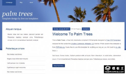 椰树风格BLOG网页模板