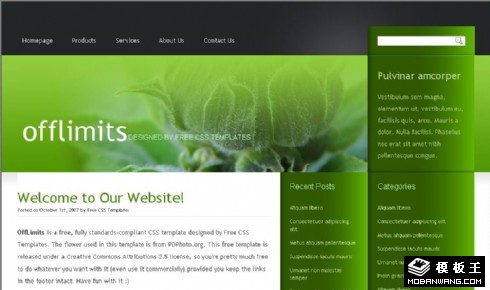 绿色植物BLOG信息网页模板