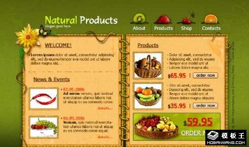 绿色天然果蔬网页模板