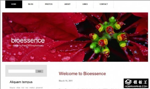 生物精华日志网页模板