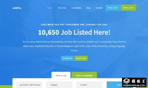 专业高端职位招聘响应式网页模板