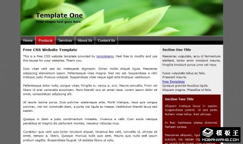 简单产品信息EDM网页模板