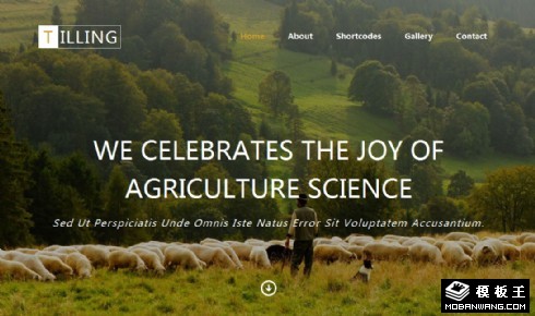 农业耕作畜牧响应式网页模板