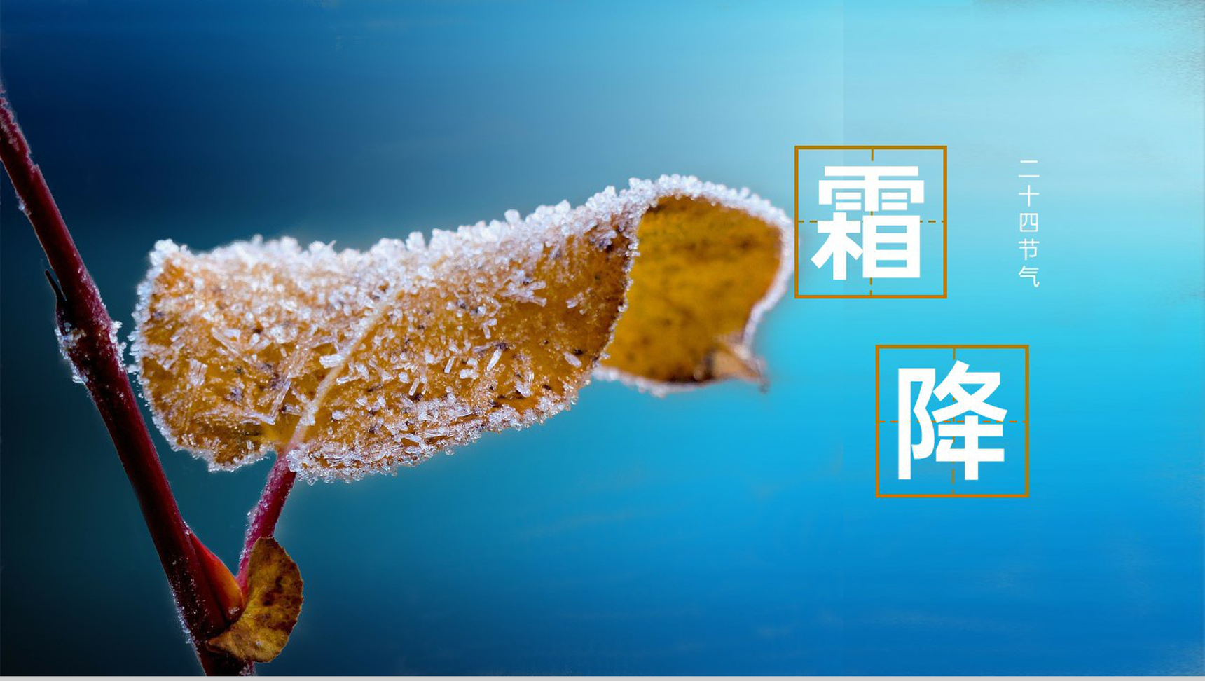 蓝色小清新风二十四节气霜降节气霜降的习俗PPT模板