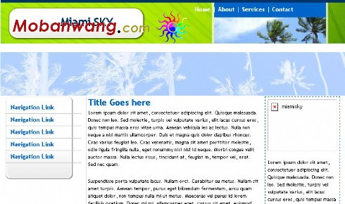 迈阿密天空主题网站模板