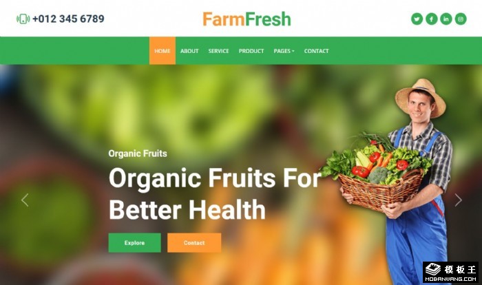 有机果蔬供应商网页模板