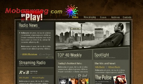 音乐娱乐电台网页模板