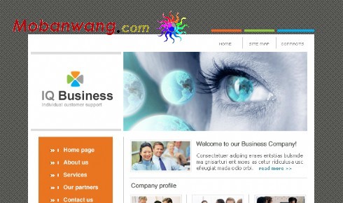 智慧公司网页模板