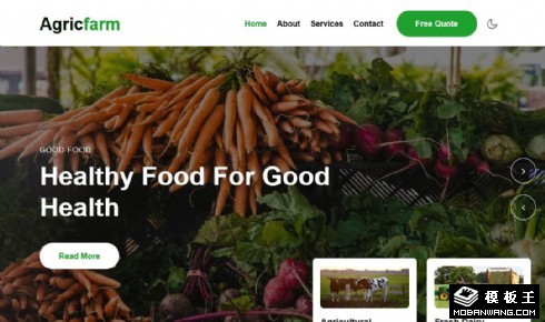 健康农业产品展示响应式网页模板