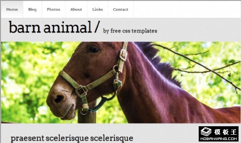 谷仓动物信息网页模板