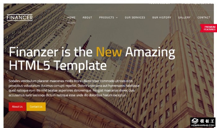 融资投资组合业务网页模板